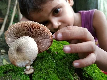 बेजुबान दोस्त