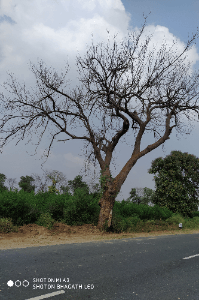 టైం వేస్ట్