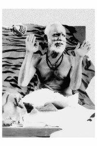 కర్కోటకుడు - మంచివాడు