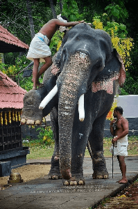 ಕರಿಯ
ಕವನ.