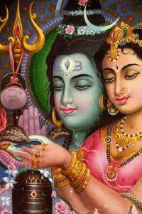 గౌరీ శంకరుడు