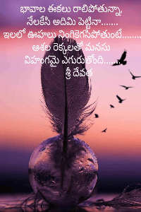 త్రిపదం - ఊహల విహంగం