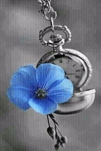 నిత్య విద్యార్థి