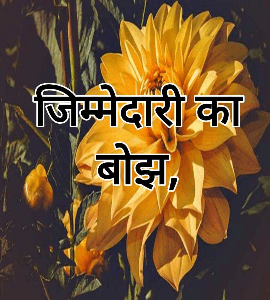 जिम्मेदारी का बोझ,