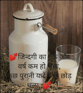 💕जिन्दगी का एक और वर्ष कम हो चला,
कुछ पुरानी यादें पीछे छोड़ चला..💕
