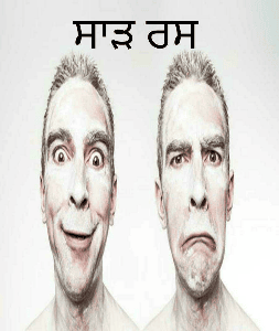 ਸਾੜ ਰਸ