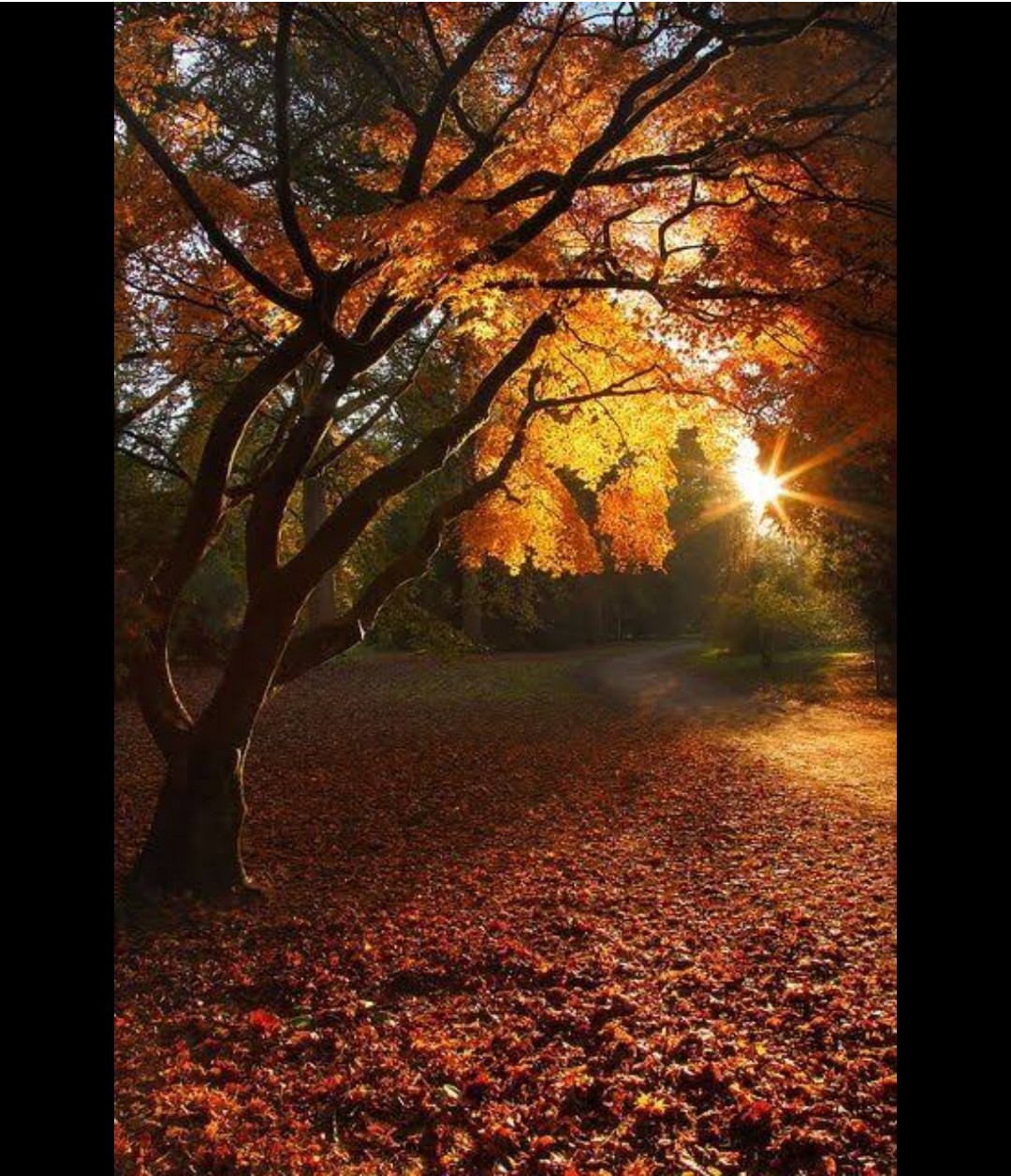 For me , for the people, for the world...