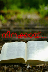 നിനക്കായ്‌...