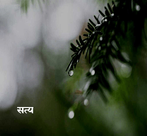 सत्य