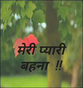 मेरी प्यारी बहना  !!
