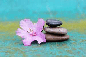 পুজোর সেই দিন গুলো