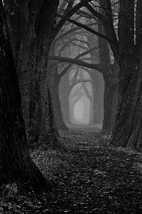 Nature And Darkness