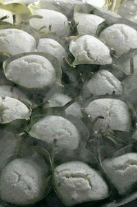 పొట్టిక్కలు