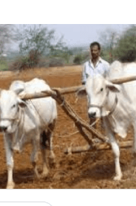 కర్షకుడు