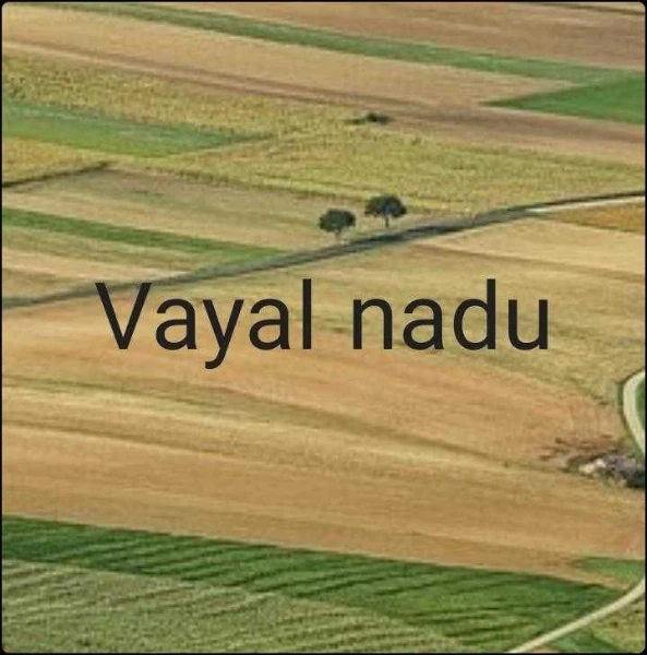 Vayal nadu