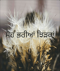 ਮੋਹ ਭਰੀਆਂ ਝਿੜਕਾਂ