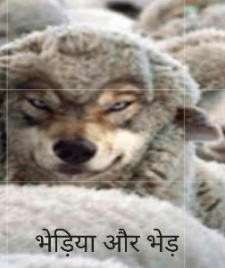 भेड़िया और भेड़