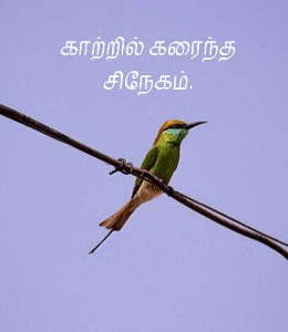 காற்றில் கரைந்த சிநேகம்.