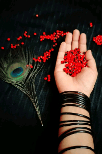 മഞ്ചാടി പ്രണയം