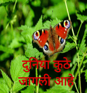 दुनिया कुठे जागली आहे