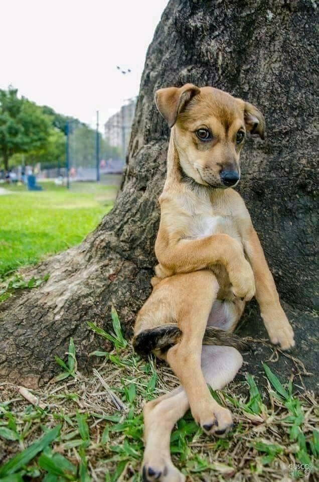 சொலவடைகள்