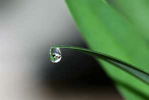 ਆਪਣੀ ਭਾਲ਼ - 'ਸ਼ਾਇਰ' ਜਸਵੀਰ