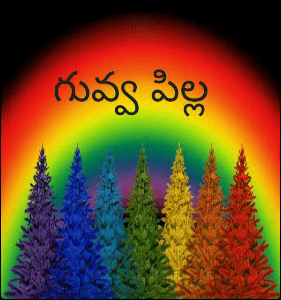 గువ్వ పిల్ల