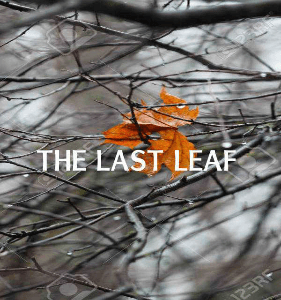 THE LAST LEAF