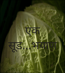 एक सूड... भयाण