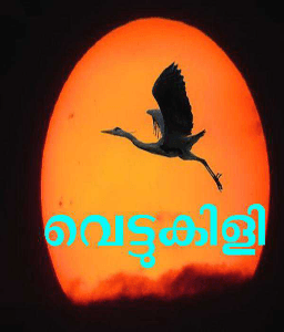 വെട്ടുകിളി