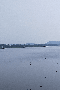 তৃষ্ণা
---------