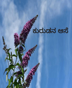 ಕುರುಡನ ಆಸೆ