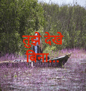 तुझे देखे बिना...