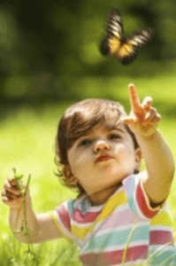 ॥ फुलपाखरू ॥