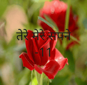तेरे मेरे सपने -11
