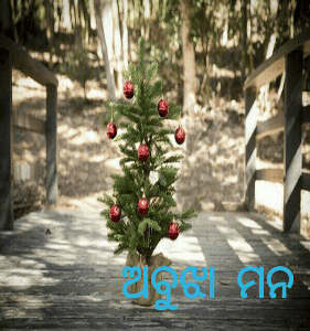 ଅବୁଝା ମନ