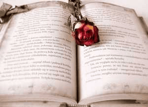 Love Course as Literature