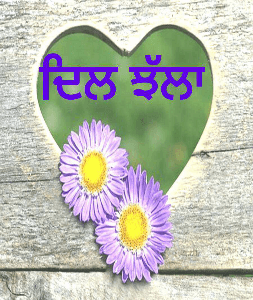 ਦਿਲ ਝੱਲਾ