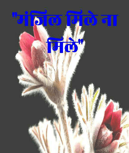 "मंजिल मिले ना मिले"