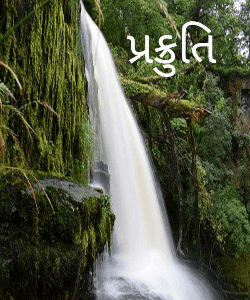 પ્રક્રુતિ