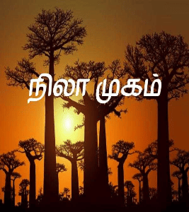 நிலா முகம்