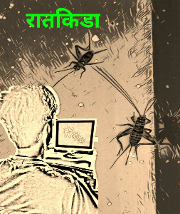 रातकिडा