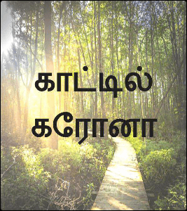 காட்டில் கரோனா