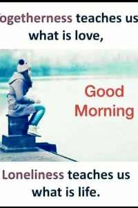 শিরদাঁড়া