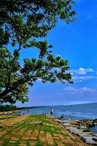 প্রকৃতি প্রেমী