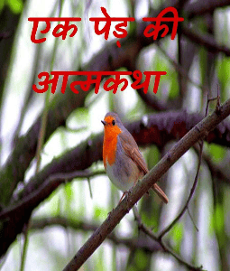 एक पेड़ की आत्मकथा
भाग 2