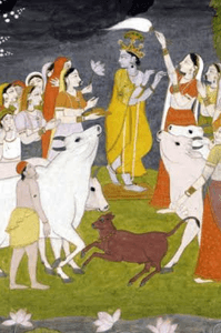 भोयरी संस्कृति - १० : जल्मास्टमी