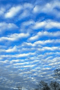 நீல வானமும்  நீர்த்திவலை மேகமும்