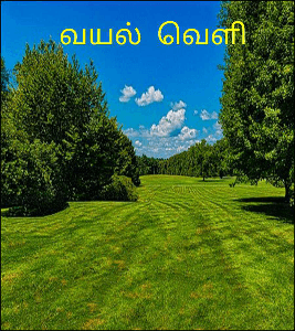 வயல்  வெளி