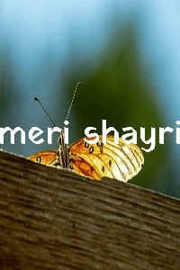 meri shayri 3